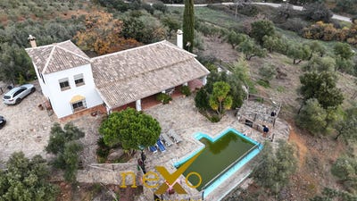 /international/es/las-navas-de-la-concepcion-andalusia-310109964674/