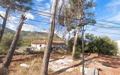 /international/es/banyalbufar-balearic-islands-310103512782/