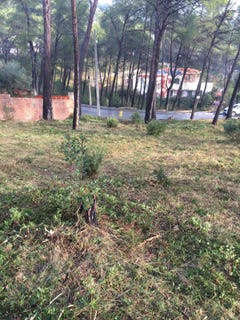 /international/es/olivella-catalonia-310106993079/
