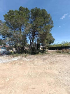 /international/es/avinguda-de-les-tres-cales-portimao-catalonia-310106935296/