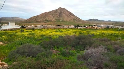 /international/es/palmas-de-gran-canaria-las-canary-islands-310108807578/