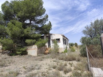 /international/es/pinos-el-pinoso-valencian-community-310107325382/