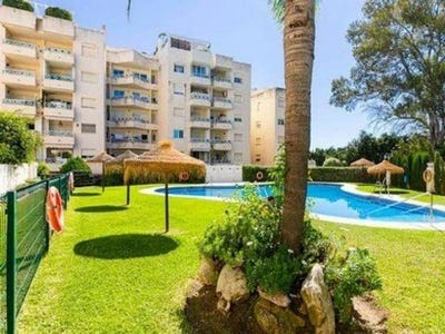 /international/es/el-rosario-canary-islands-310108811597/