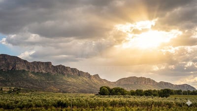 /international/es/ds-sierra-larga-jumilla-region-of-murcia-310108600853/