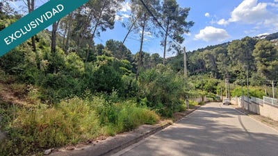 /international/es/cervello-catalonia-310105744714/