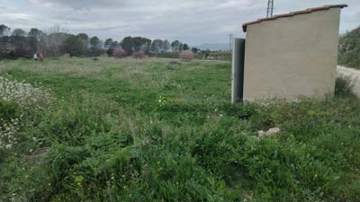 /international/es/la-pobla-del-duc-valencian-community-310108155523/