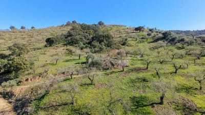 /international/es/malaga-capital-andalusia-310106064996/