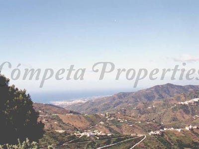 /international/es/competa-andalusia-310100736303/