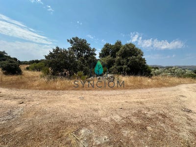 /international/es/fresnedillas-de-la-oliva-madrid-310100826988/