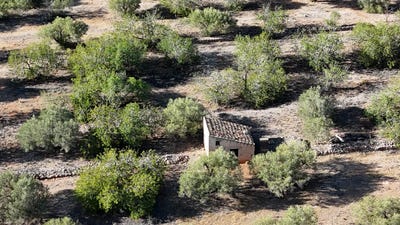 /international/es/l-ametlla-de-mar-catalonia-310104228414/