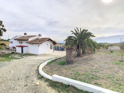 /international/es/coin-andalusia-310100857487/