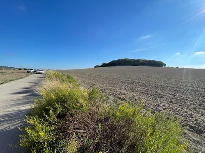 /international/es/unnamed-road-llubi-balearic-islands-310101734030/