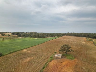 /international/es/niebla-andalusia-310105375099/