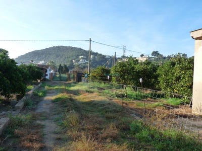 /international/es/oliva-valencian-community-310109172341/