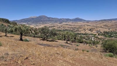 /international/es/coin-andalusia-120095075182/
