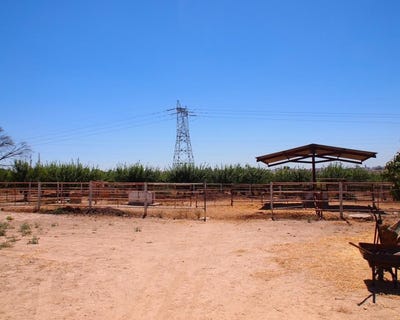 /international/es/valencina-de-la-concepcion-andalusia-120069351446/