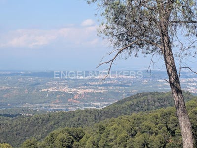/international/es/corbera-de-llobregat-catalonia-310101326128/?lang=zh-cn