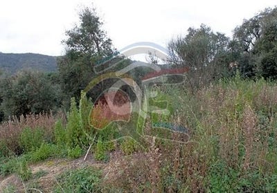 /international/es/calonge-catalonia-120063088846/