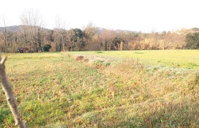 /international/es/sant-feliu-de-guixols-catalonia-310100646249/