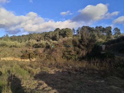 /international/es/beniganim-valencian-community-310108245887/