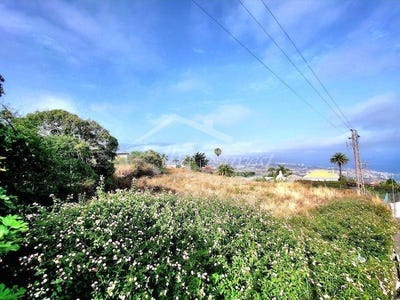 /international/es/santa-ursula-canary-islands-120094555768/?lang=en