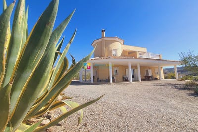 /international/es/albox-andalusia-310100702072/