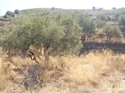 /international/es/competa-andalusia-310100735821/