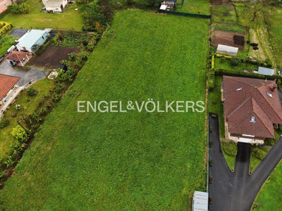 /international/es/pielagos-cantabria-310100642141/