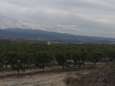 /international/es/beniganim-valencian-community-310108211447/