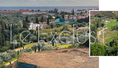 /international/es/los-flamingos-andalusia-310109762171/
