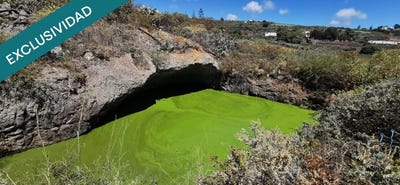 /international/es/palmas-de-gran-canaria-canary-islands-310108513987/