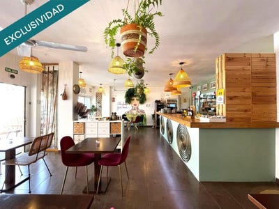 /international/es/calvia-balearic-islands-310101279083/?lang=de