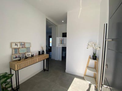 /international/es/rana-verde-chiclana-de-la-frontera-andalusia-310108671191/