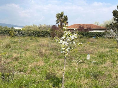/international/es/poligono-santa-oliva-catalonia-310106740803/