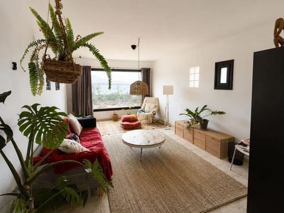 /international/es/la-oliva-canary-islands-310108953193/