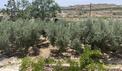 /international/es/aljariz-almeria-espana-vera-andalusia-310109106909/