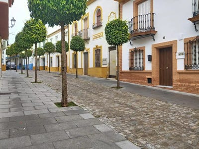 /international/es/bormujos-andalusia-310107217363/