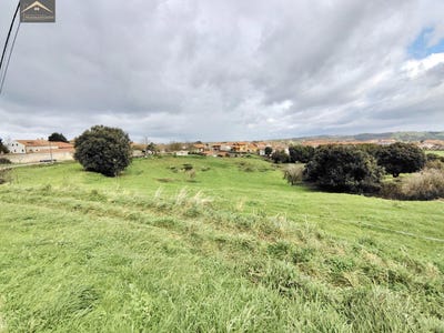 /international/es/ajo-cantabria-310108835765/