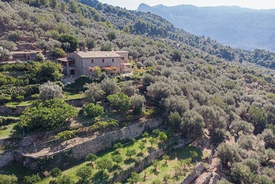 /international/es/can-palau-soller-balearic-islands-310101730535/