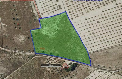 /international/es/salinas-valencian-community-310106991685/