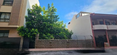 /international/es/piles-valencian-community-310106079788/