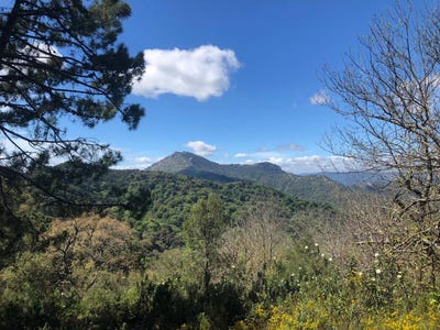 /international/es/gaucin-andalusia-310107650032/
