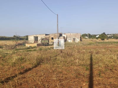 /international/es/conil-de-la-frontera-andalusia-310108127671/