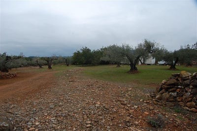 /international/es/el-perello-catalonia-310120543536/