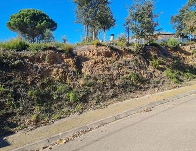 /international/es/bescano-catalonia-310106481358/