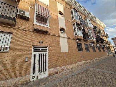/international/es/grinon-madrid-310100411995/