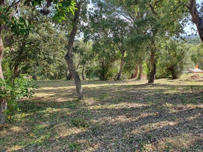 /international/es/calonge-i-sant-antoni-catalonia-310101626505/