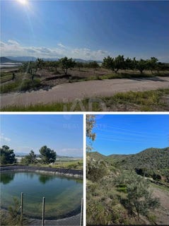 /international/es/bo-la-campana-nr-pozo-higuera-lorca-region-of-murcia-310105419644/