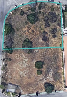 /international/es/los-flamingos-andalusia-310100884249/