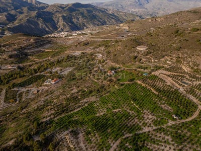 /international/es/velez-de-benaudalla-andalusia-310104225889/